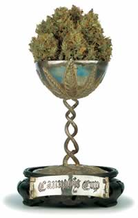 HIGH TIMES Cannabis Cup 2012 Results/Winners