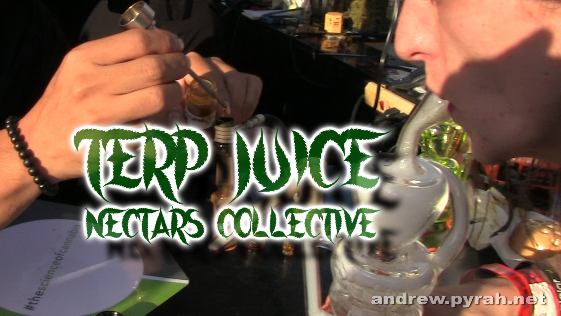 Nectars Collective TERP JUICE Review – Amsterdam Weed Review in California SoCal Cannabis Cup 2015