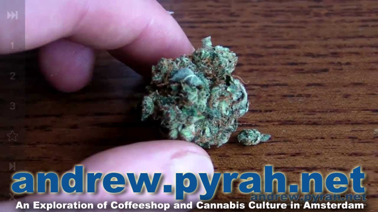 Saturday Morning Smokes – Casey Jones Devils Harvest – Amsterdam Weed Review 2014