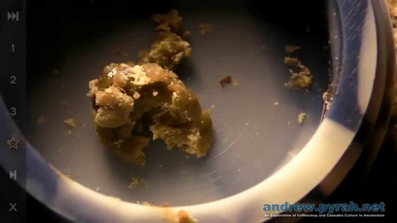 3 Types of Hash from 1 Strain! BHO Shatter, Wax & Solventless Iceolator Bubble Hash – Amsterdam Weed