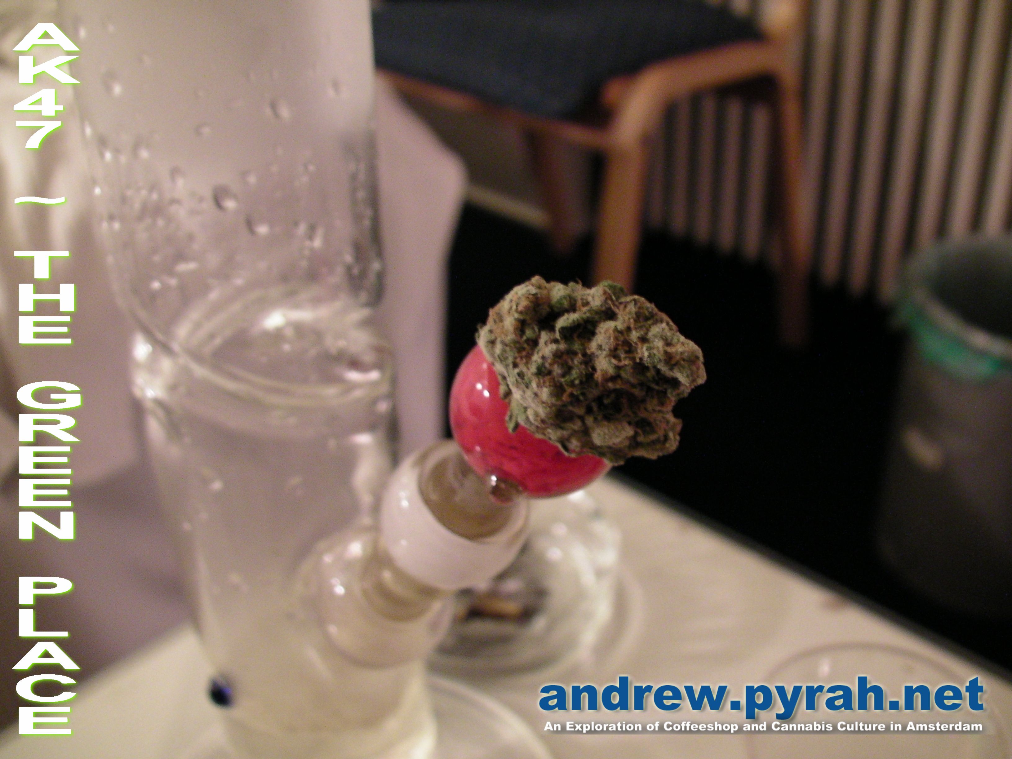 NEW VIDEO SCHEDULE – YOU DECIDE! Amsterdam Weed Review – andrewpyrah channel