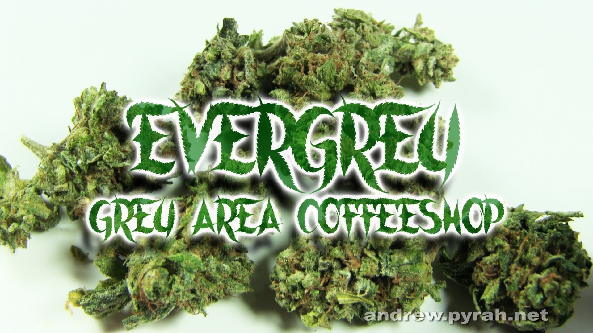 EVERGREY Grey Area Coffeeshop – Amsterdam Weed Review 2016