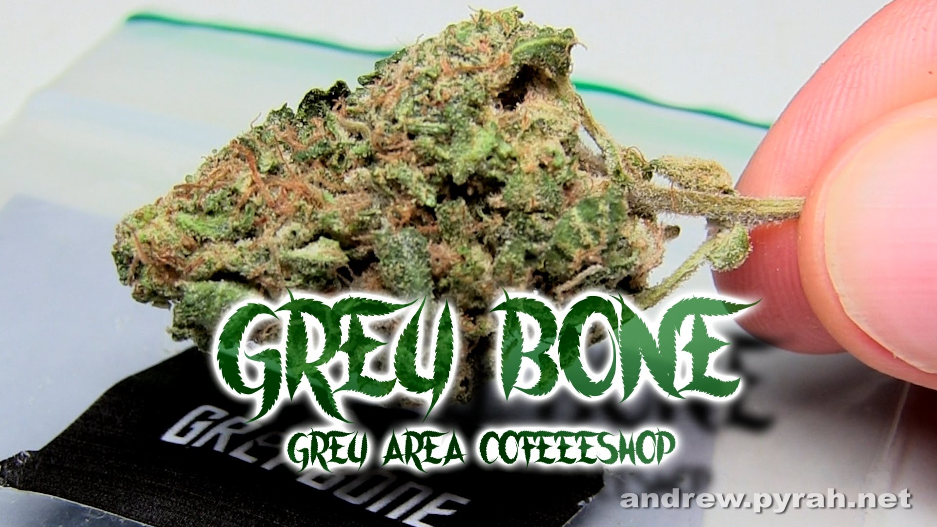 GREY BONE & GREY CRYSTAL Grey Area Coffeeshop – Amsterdam Weed Review 2015 Feat. Weedstar Glass