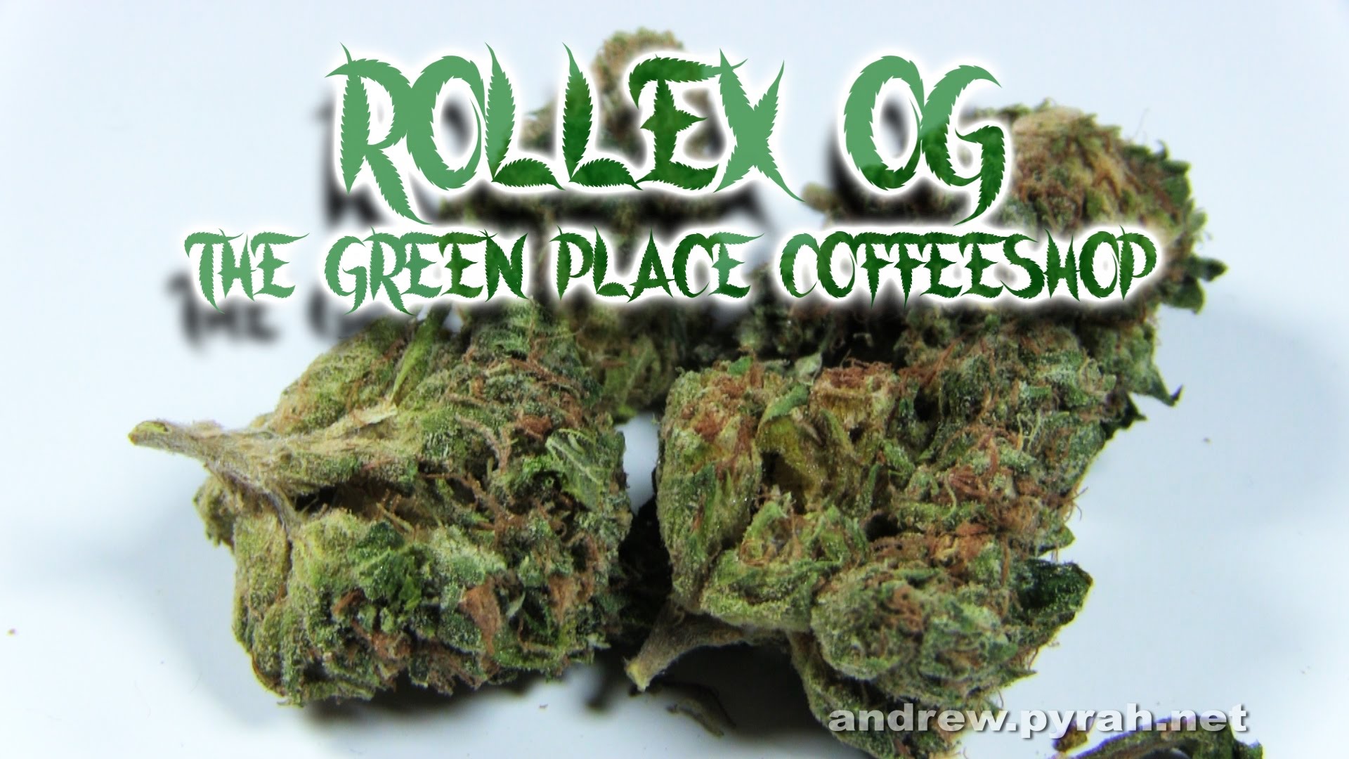 ROLLEX OG KUSH (Devils Harvest) The Green Place Coffeeshop – Amsterdam Weed Review 2016
