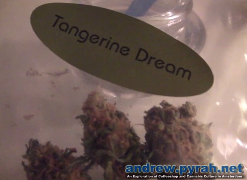 A Quick Joint of Tangerine Dream – Barneys Coffeeshop Amsterdam