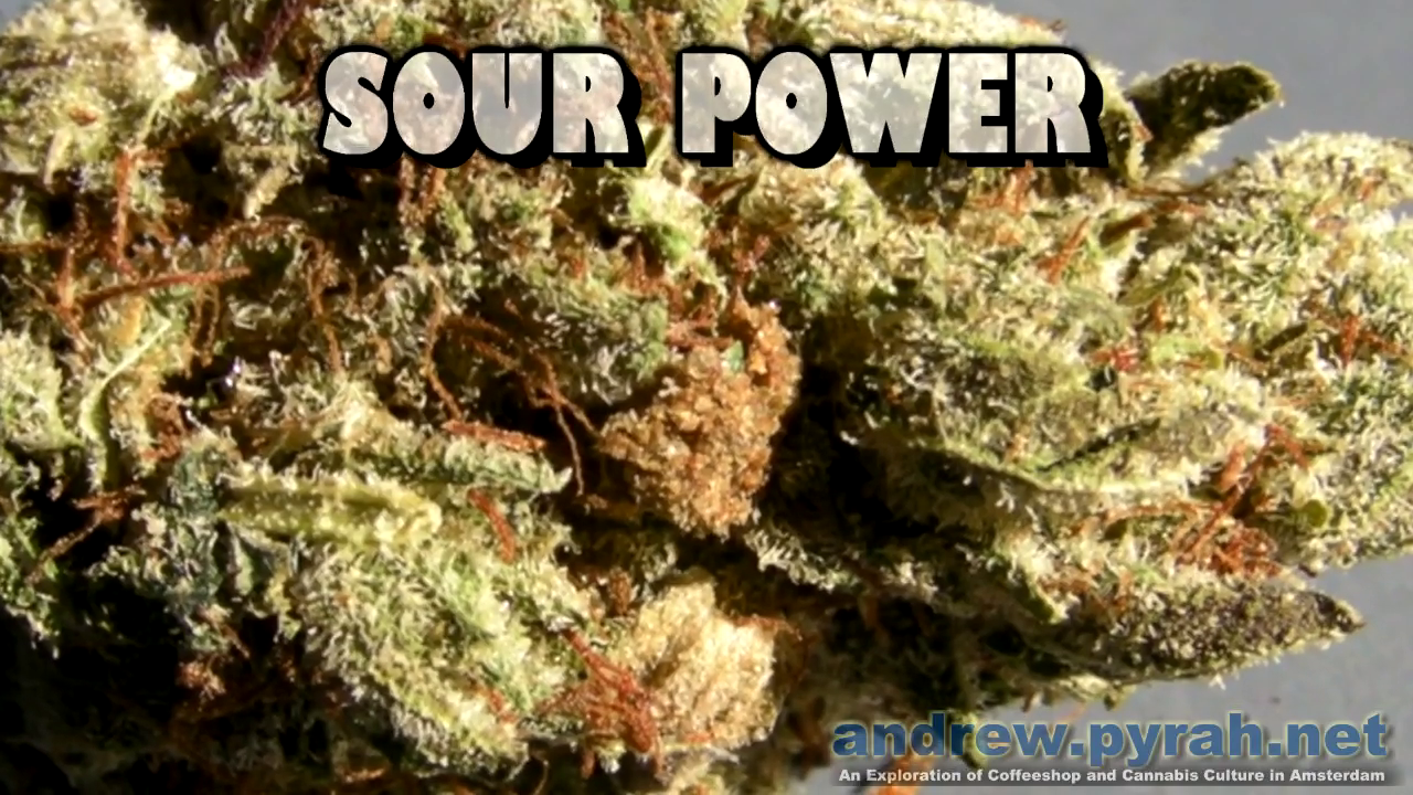 SOUR POWER CLOSEUPS Voyagers Coffeeshop